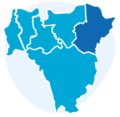 Icon representing a map of the six Boroughs of south east London, with five Boroughs in light blue and Bexley coloured in dark blue. Behind the map, a circle in lighter blue