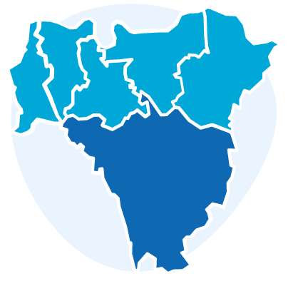 Icon representing a map of the six Boroughs of south east London, with five Boroughs in light blue and Bromley coloured in dark blue. Behind the map, a circle in lighter blue