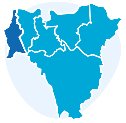 Icon representing a map of the six Boroughs of south east London, with five Boroughs in light blue and Lambeth coloured in dark blue. Behind the map, a circle in lighter blue