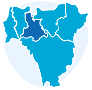 Icon representing a map of the six Boroughs of south east London, with five Boroughs in light blue and Lewisham coloured in dark blue. Behind the map, a circle in lighter blue