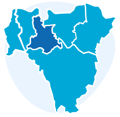 Icon representing a map of the six Boroughs of south east London, with five Boroughs in light blue and Lewisham coloured in dark blue. Behind the map, a circle in lighter blue