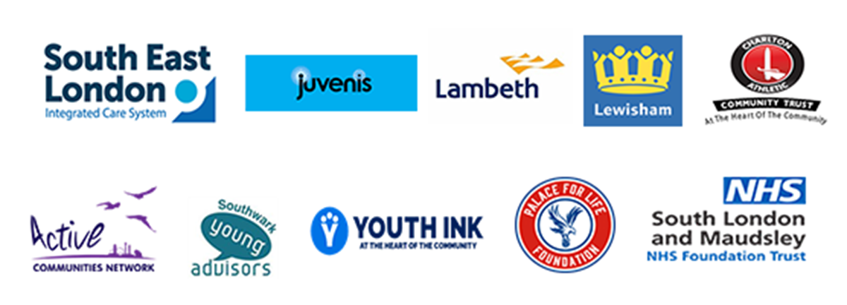 Logos of all the partners of the SEL Vanguard programme