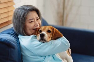 A woman with shoulder-length grey hair sits on a dark blue sofa indoors, gently hugging a brown and white beagle. She smiles warmly while looking into the distance. The dog rests calmly in her arms. Natural light comes in through wooden blinds on the window beside them.
